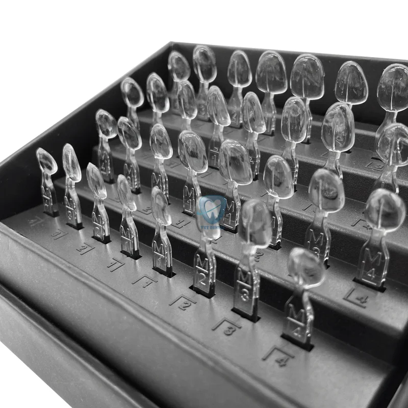 32pcs/Set Dental Veneer Mould  - Teeth Whitening Moulds ulasan dan harga